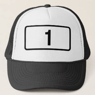 IJslandse route 1 Ring Road Trucker Pet