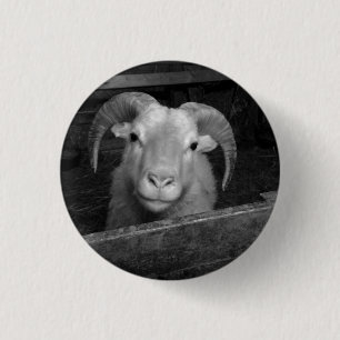 IJslandse schapen Ronde Button 3,2 Cm