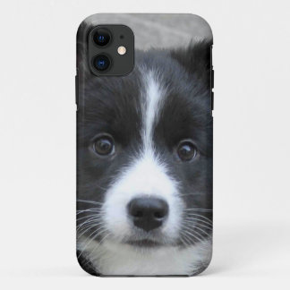 IJslandse Sheepdog 2014-0804 iPhone 11 Hoesje