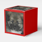 IJslandse Sheepdog 2014-0808 Bedankdoosjes (Voorkant Zijde)