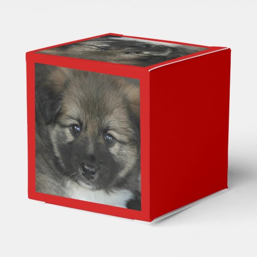 IJslandse Sheepdog 2014-0808 Bedankdoosjes (Achterkant)