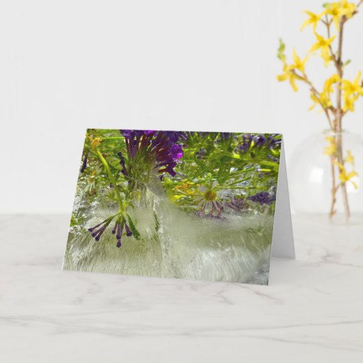 ijslelies, kaart (Gele Bloem)