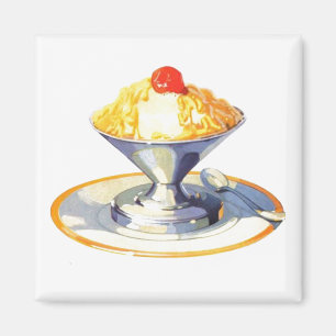  ijsretro dessert food magneet