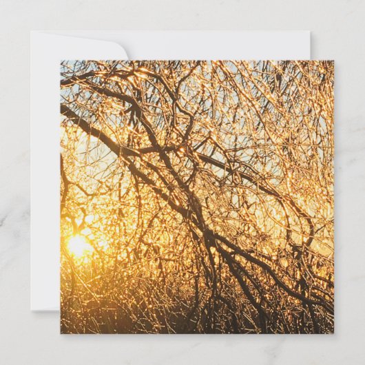 ijsvertakkingen bij zonsondergang kaart (Voorkant)