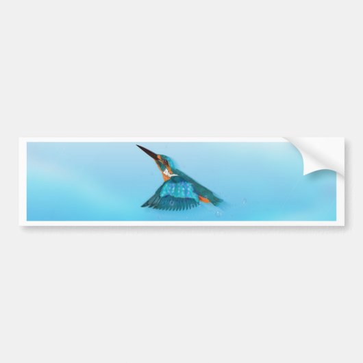 IJsvogel Bumpersticker (Voorkant)