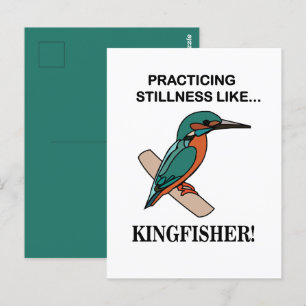 IJsvogel Oefent Stilte Als IJsvogel Briefkaart