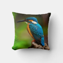 Ijsvogel vogel natuur kussen