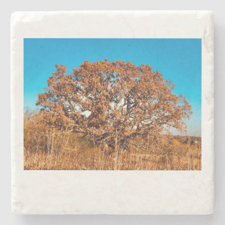 IJzeren eikel met Herfst Zonneopruimsteen Onderzet Stenen Onderzetter