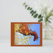 "IJzeren paard" Briefkaart (Staand voorkant)