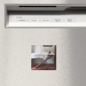 IJzerraad en IJzer Magneet (Insitu (Vaatwasser))