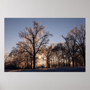 IJzige bomen met achtergrondverlichting Poster