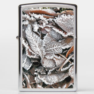 IJZIGE WINTERBLADEREN