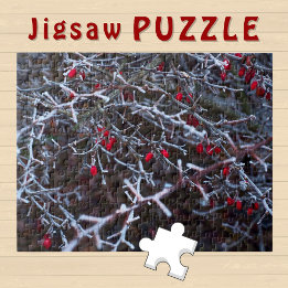 IJzige Winterstruik Rode Bessen esthetische Foto Legpuzzel