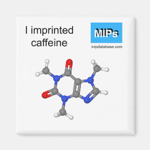Ik bedrukt cafeïne magnetbal en stok magneet