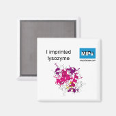 Ik bedrukt lysozyme magnet magneet (Voorkant / Achterkant)