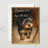 Ik beloof Briefkaart (Voorkant / Achterkant)