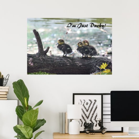 Ik ben alleen Ducky. Poster -36x24 -andere maten o (Thuiskantoor)