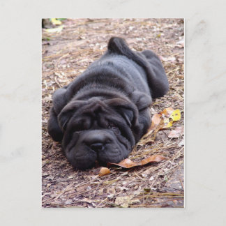 Ik ben allemaal uitgespeeld. briefkaart