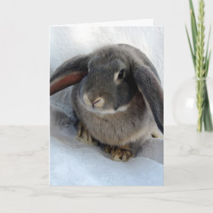 Ik ben allemaal voor jou. kaart