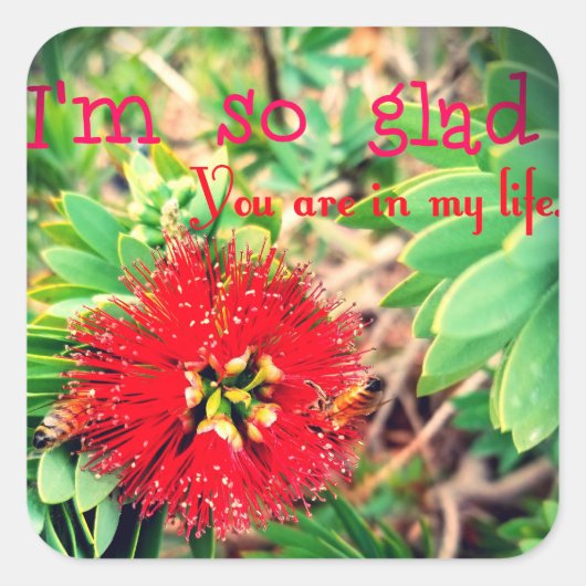 Ik ben blij dat je in mijn leven bent vierkante sticker (Voorkant)