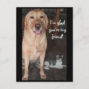 Ik ben blij dat je mijn vriend bent! briefkaart