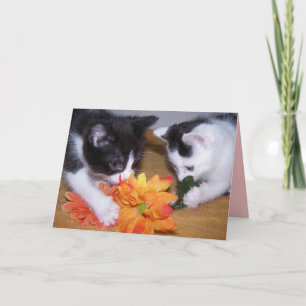 Ik ben blij u r mijn vriendenKAART Kaart