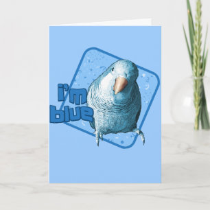 Ik ben Blue Quaker Parakeet Kaart