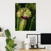 Ik ben carnivoren. poster (Thuiskantoor)