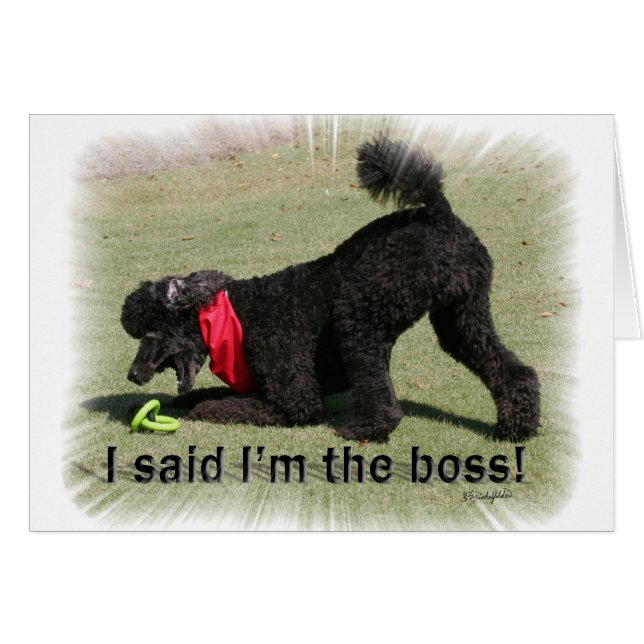 Ik ben de baas (Voorkant Horizontaal)