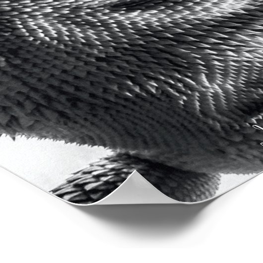 "Ik ben de hagedis koning" Zwarte en Witte Hagedis Poster (Hoek)