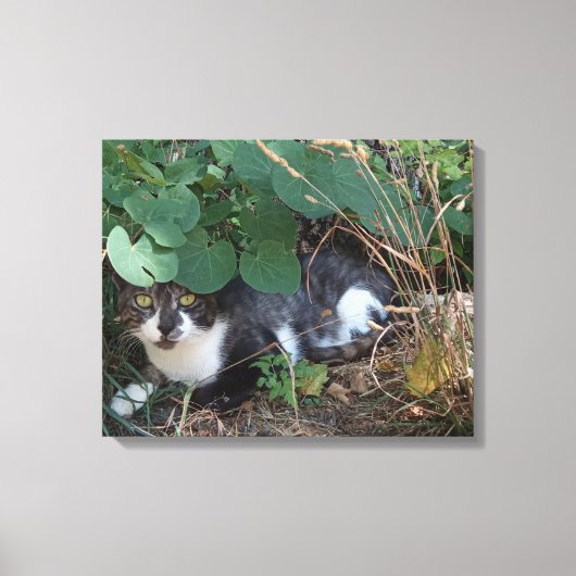 Ik ben de onzichtbare kat canvas afdruk (Voorkant)