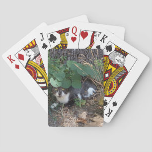Ik ben de onzichtbare kat pokerkaarten