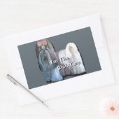 Ik ben de Shih Tzu - Stickers (Envelop)