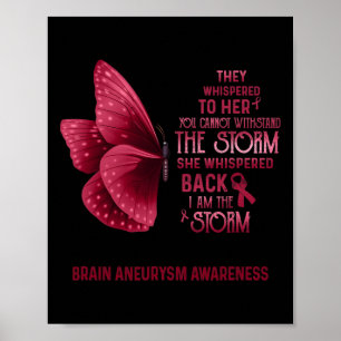 Ik Ben De Storm Hersenen Aneurysma Bewustzijn Vlin Poster
