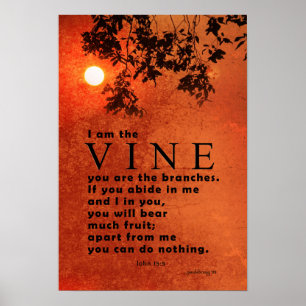 Ik ben de Vine... (Schrift: John 15:5) Poster