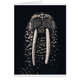 Ik ben de walrus.
