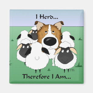 Ik ben dus Magnet Magneet