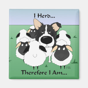 Ik ben dus Magnet Magneet