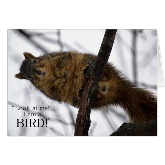 Ik ben een BIRD. (Voorkant Horizontaal)