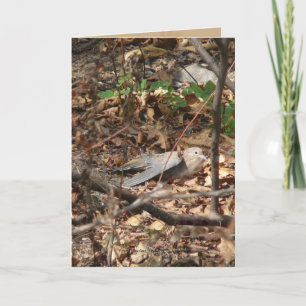 Ik ben een Blad, werkelijk Kaart