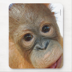 Ik ben een Cute Orangutan foto. Muismat