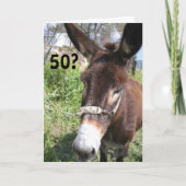 IK BEN EEN DONKEY'S UNCLE-50TH KAART (Voorkant)