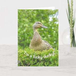 "IK BEN EEN GELUKKIGE DUCKY / HEB JE VOOR EEN VADE KAART