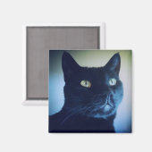 Ik ben een kattenmagneet magneet (Voorkant / Achterkant)