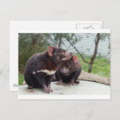 Ik ben een kleine duivel briefkaart (Voorkant / Achterkant)