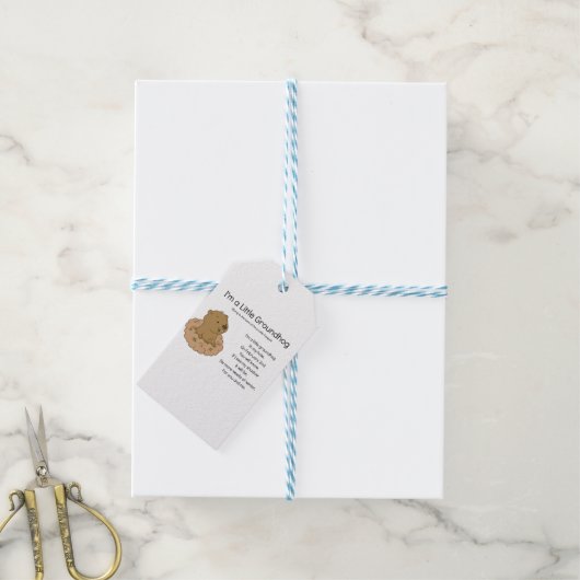 Ik ben een kleine Groundhog Cadeaulabel (Met Touw)