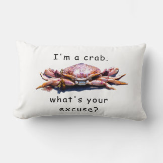 Ik ben een krab... wat is je excuus? kussen