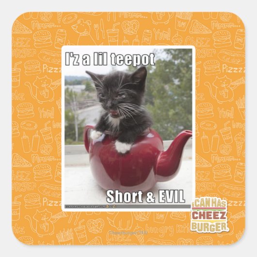 Ik ben een lil repot vierkante sticker (Voorkant)