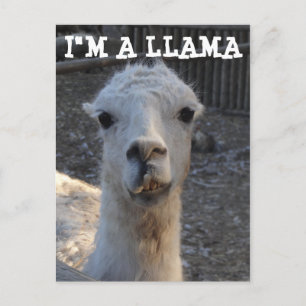 Ik ben een Llama Briefkaart