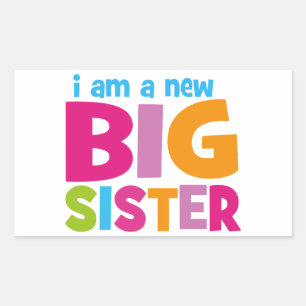 Ik ben een nieuwe Big Sister Rechthoekige Sticker